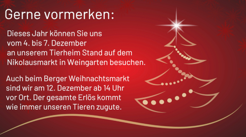 1weihnachtsmarkte25
