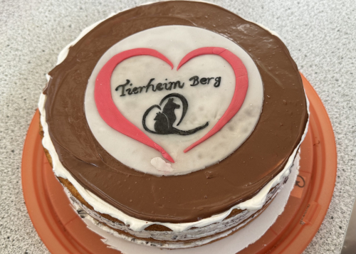 kuchen toft1