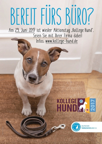 motiv kollege hund 2017